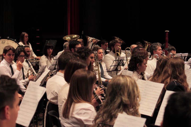 Santa Cecilia 2016 - Concerto (Foto: Paolo Chiarotto)